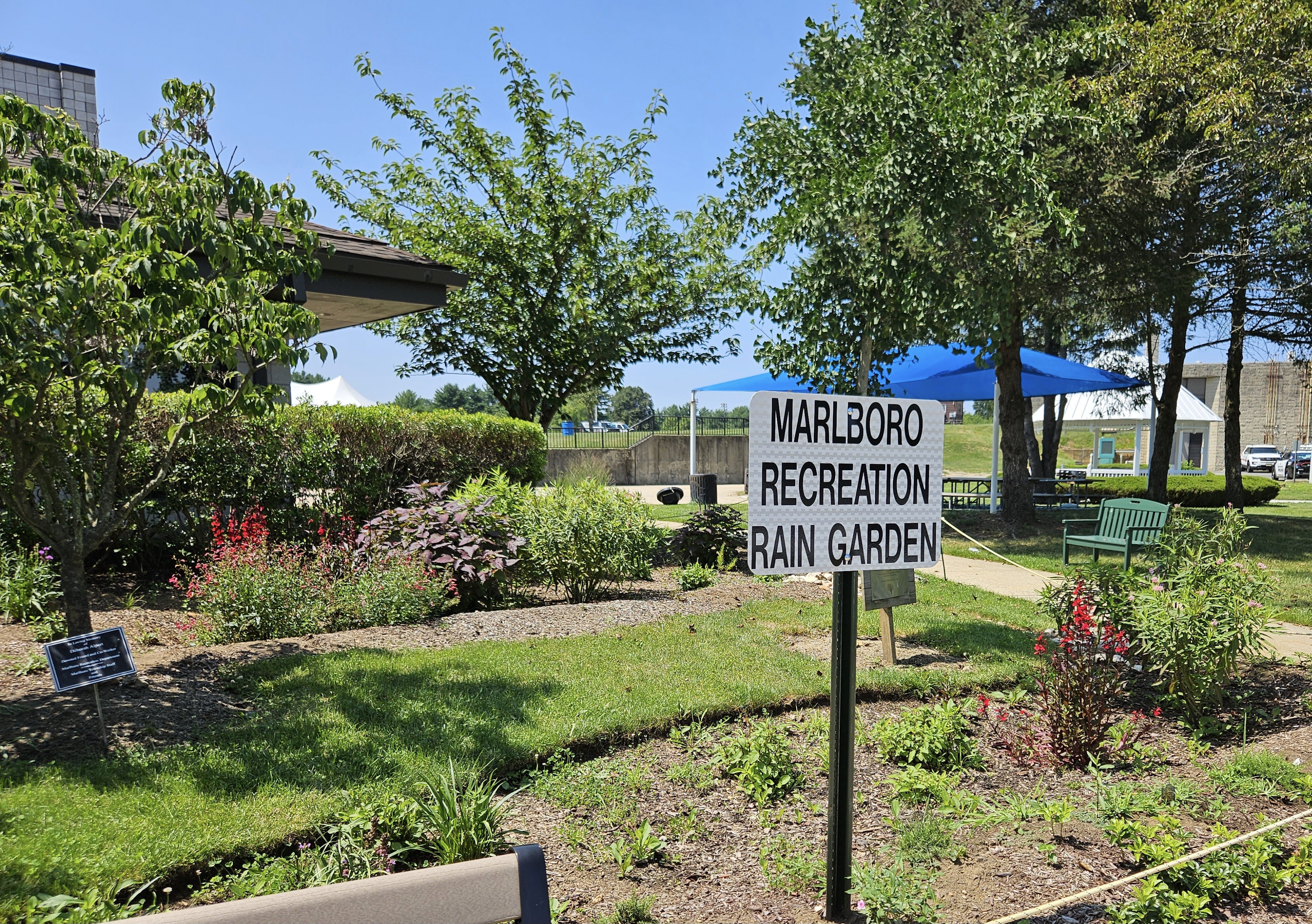 rain garden picture